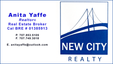 Anita Yaffe, Realtor